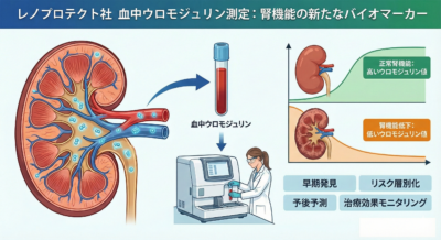 12月2日（火）より「血中ウロモジュリン測定」を導入しましたのアイキャッチ画像